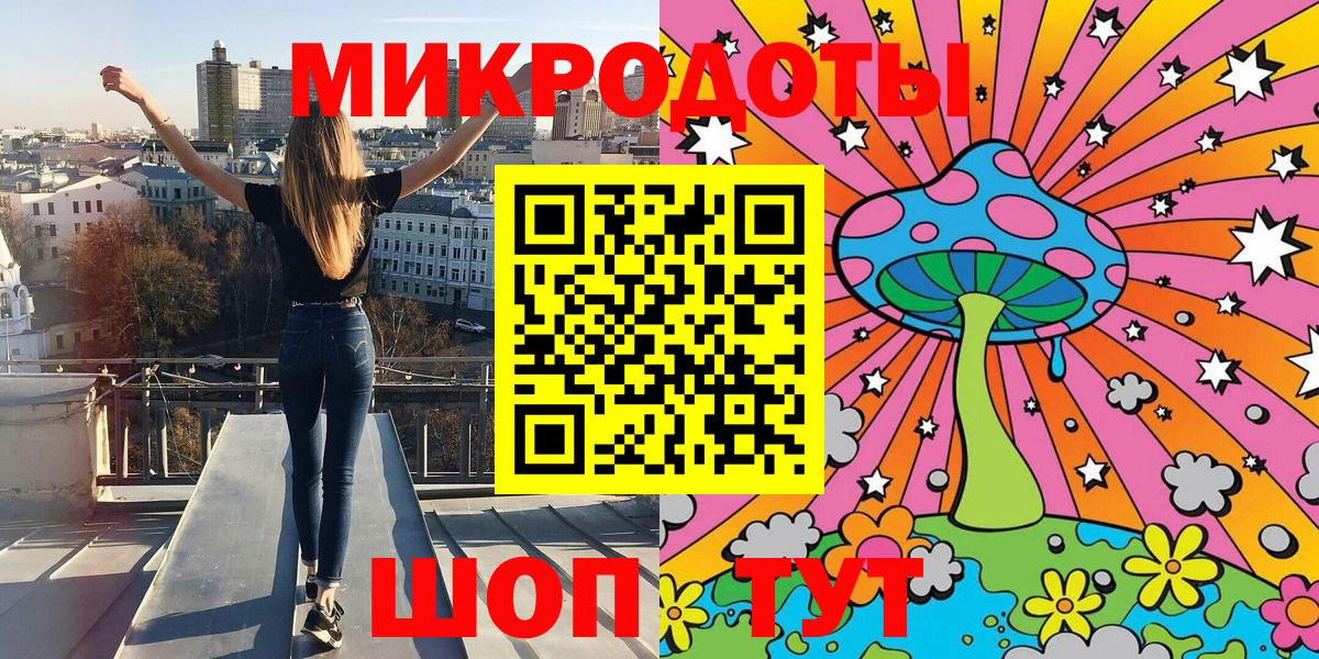 Псилоцибиновые грибы Cubensis Выборг
