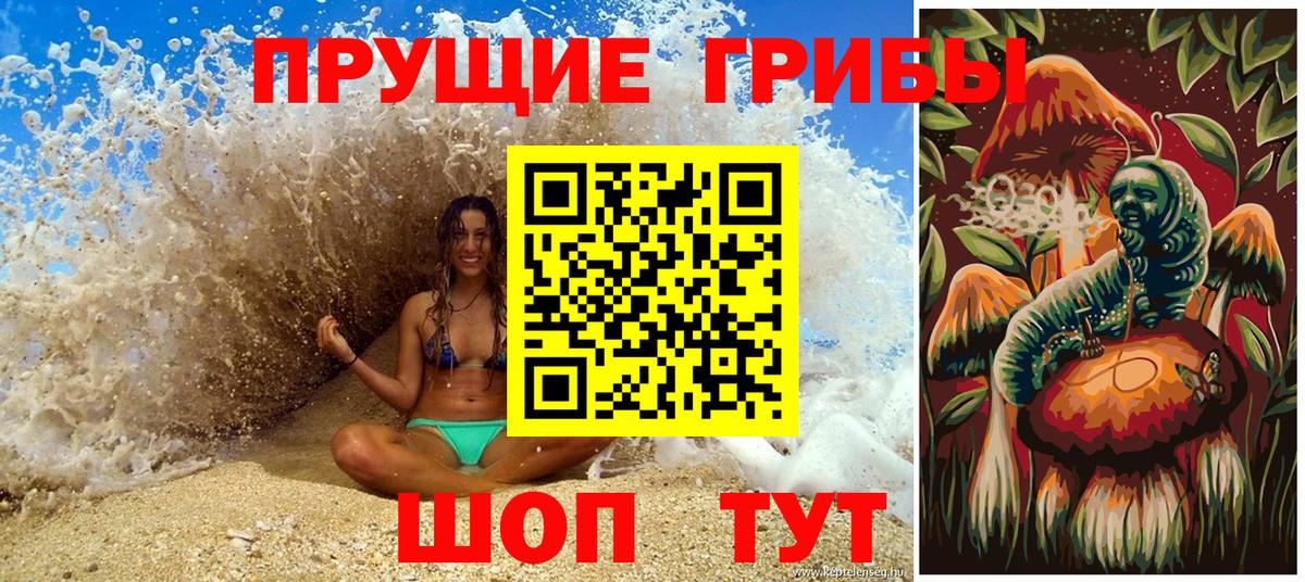 Галлюциногенные грибы Psilocybe  Вход с VPN  Выборг 